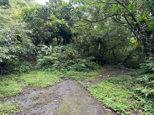 虎豹雙棲越野17K複習跑-part23072596
