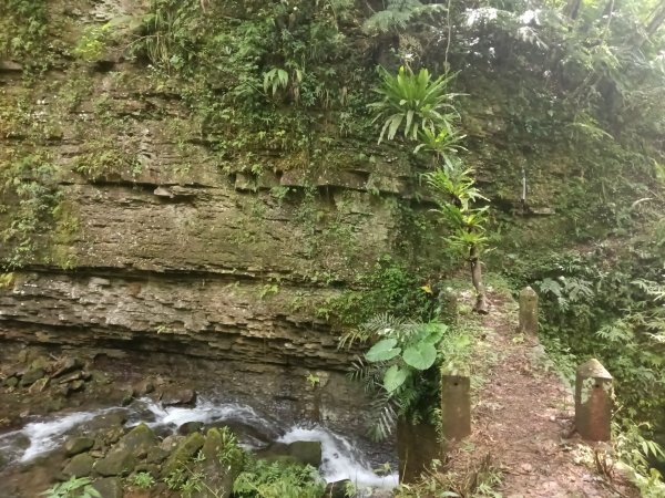 坪林區九芎坑古道+九芎坑圳沽古道+大舌湖山大小O型2845673