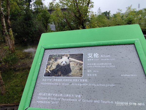 四川成都大熊貓繁育研究基地2940719