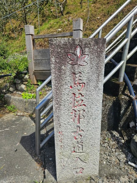 20241010千兩山群峰-象鼻山-士林山群峰2618682