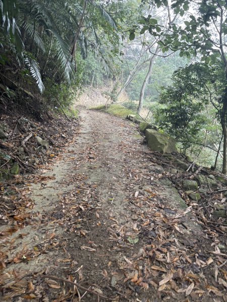 20251108西阿里關山步道(小林村東側登山口啟登)2933497