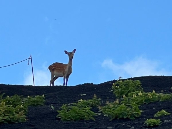 富士山御殿場線~海拔0至37762558988