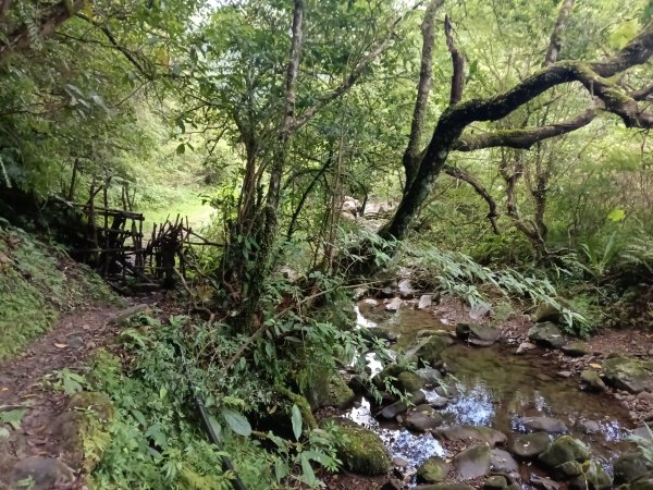 雙溪區崩山坑古道+下坑山稜線越嶺路+下坑山O型2839786
