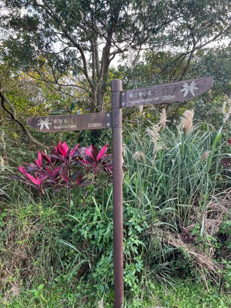 2025-01232淡蘭古道北二段(燦光寮古道到澳底)2696722