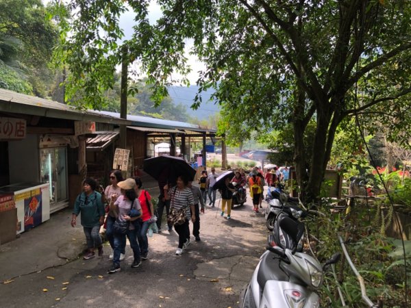 達娜伊谷走里美避難歩道、巨石坂步道690681