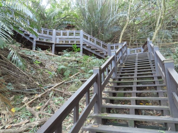 泰安登山步道‧隘勇古道‧巡圳道O形輕鬆走2007510