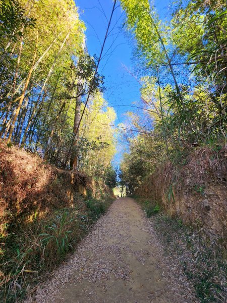 小百岳集起來-雲嘉大尖山2182898