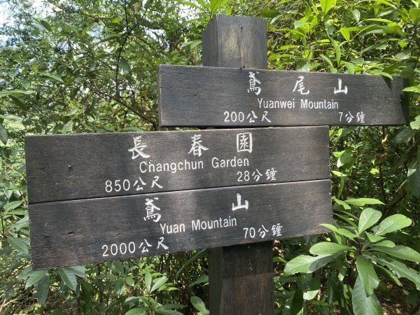 2025微笑山線大縱走尋寶集章任務-Ep.03【鳶山山系】鳶山彩壁段2893715