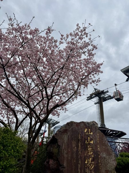 指南宮賞櫻2708112