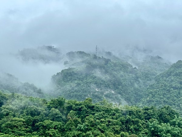 雨下的白毛山步道與白鹿吊橋2805306