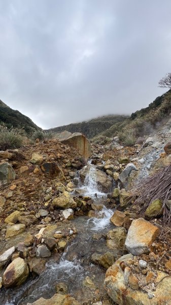 漫遊陽明山2951923