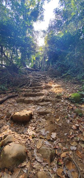 2021-04-11馬那邦山登山步道1346424