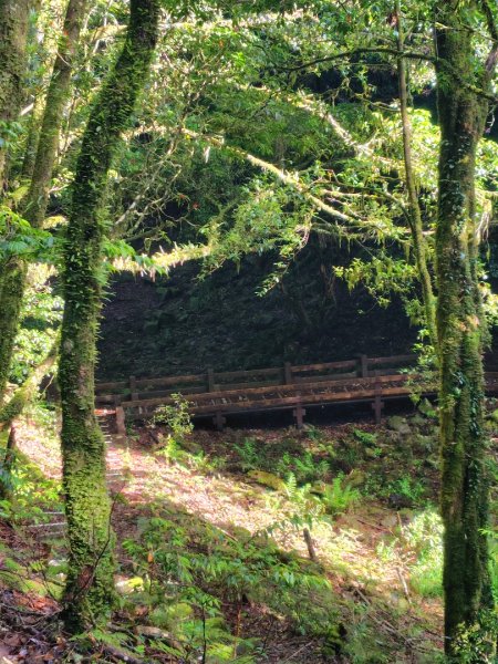 稍來小雪山國家步道、船型山、鞍馬山、鞍馬山東北峰、天池、雪山神木2799833