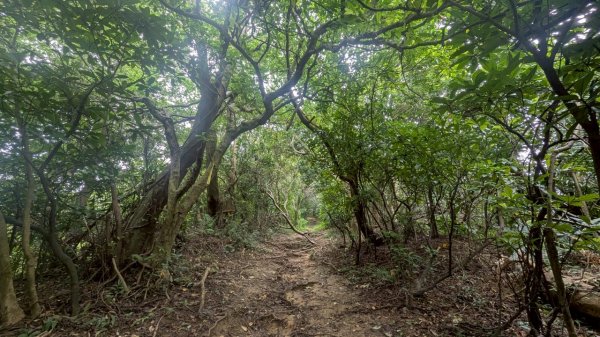 114.07.27槓子寮山+煙火2847297