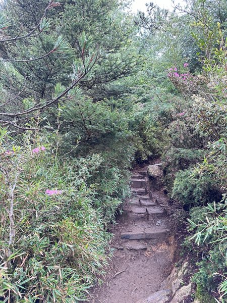 風雨中完成合歡北峰登頂2515336