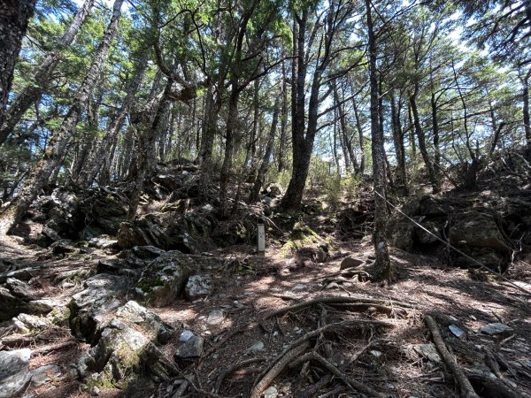 25/04/11羊頭山單攻2760068