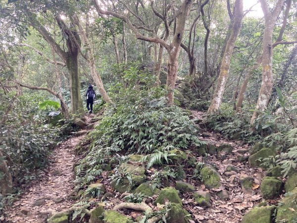 石門山登山步道2396658