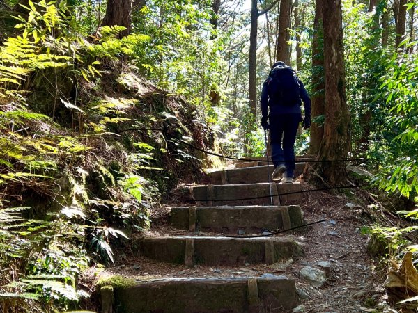 船型山環走大雪山210林道2978026