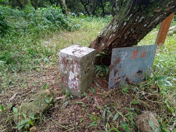 華山4-2號步道上雲嘉連峰2579386