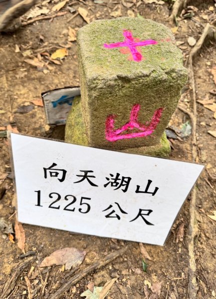 光天高山 - 向天湖山(小百岳32) 小O一圈2877132