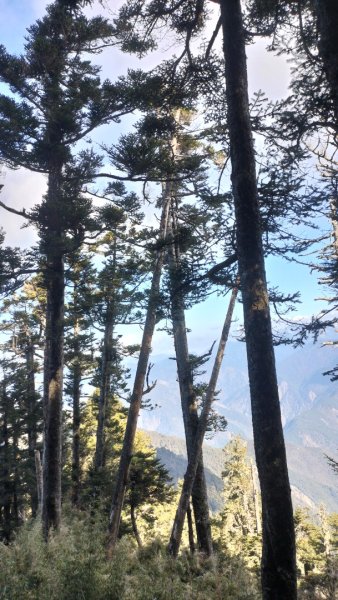20250126_臺南首嶽關山2706905