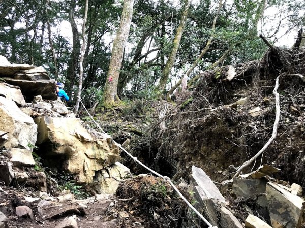 霞喀羅國家步道_石鹿登山口201901261964160