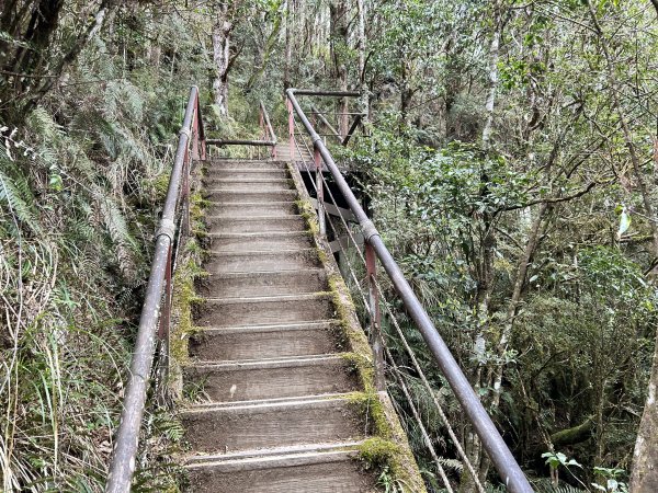 翠峰湖環山步道2763403