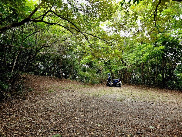 加奈美山-小百岳#95-台東縣大武鄉2777010