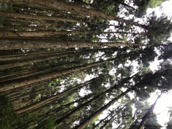 高台山、小、中、大島田山1061891