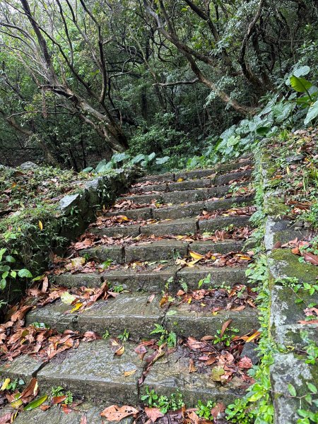 風雨中的灣坑頭山2079258