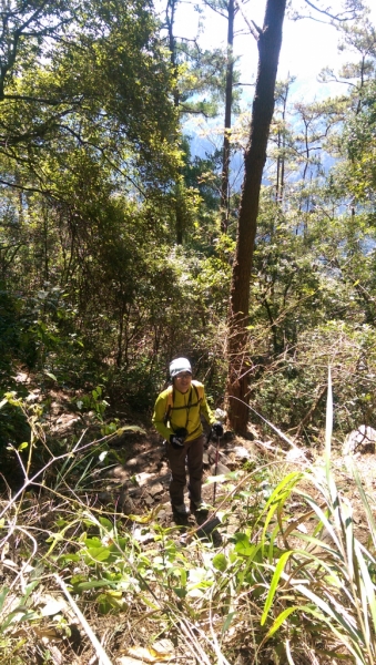 登山初體驗之谷關七雄-東卯山69591