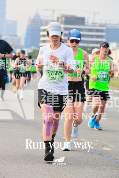44589805