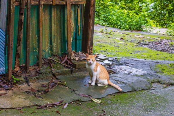 [屏東]笠頂山2847889