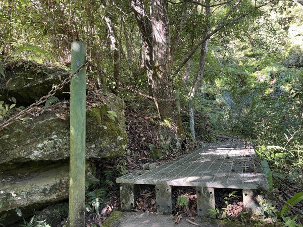 [玉山尋寶任務-03/12] 2025_0810 瓦拉米步道2857524