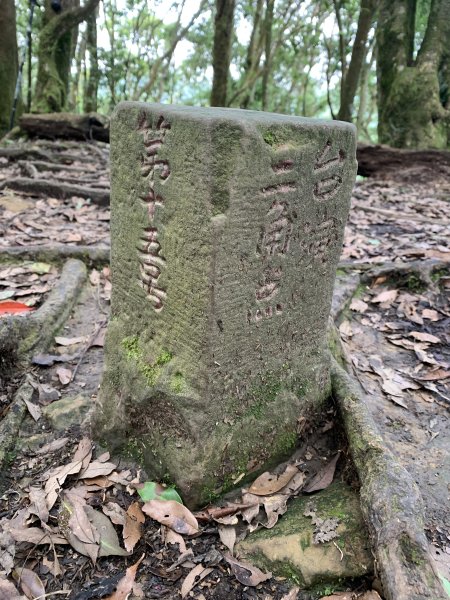 20250614南投南鳳凰山2813241