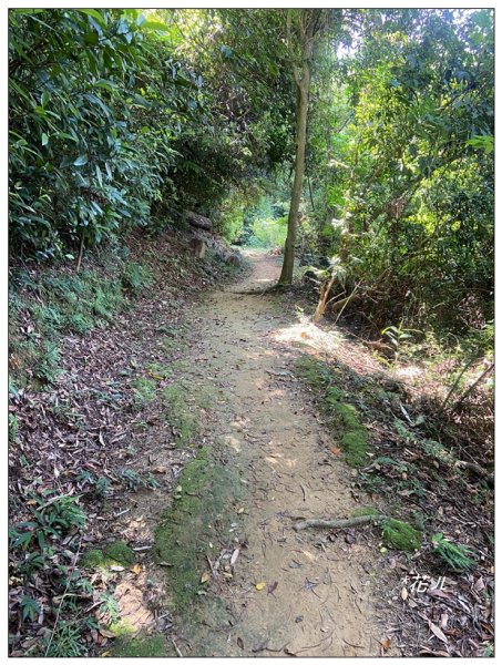 藤坪步道、猿山連走2601588