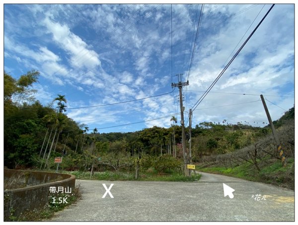 大堀底山 (穿霧隘勇線)3023651