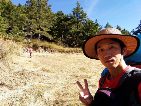 武陵四秀之桃山449065