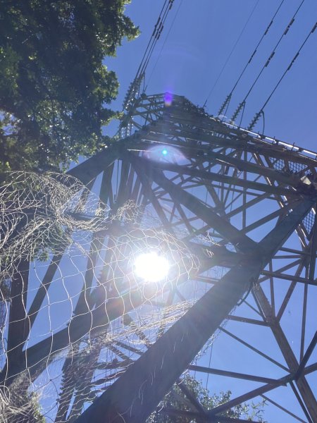 2025微笑山線大縱走尋寶集章任務-Ep.02【大棟山系】百年大榕樹2882280