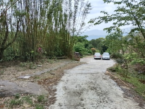 雙溪區三叉港+遠景古道+楊廷理古道+雞母嶺街O型2758677