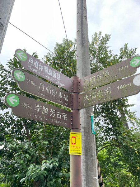 桃園大溪-花彩節🌼李騰芳古厝-月眉落雨松2934854