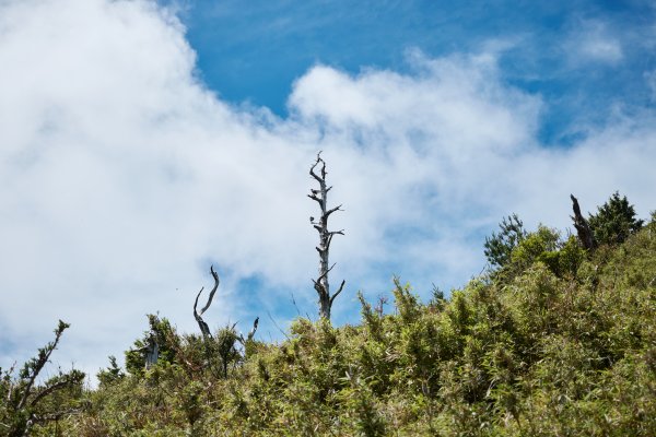 南橫三星兩日包車