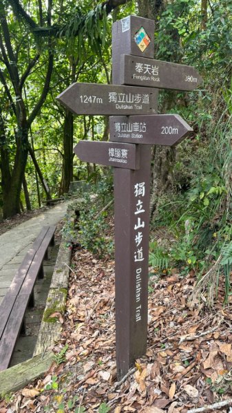 雲嘉連峰/青年嶺/水社寮2750445