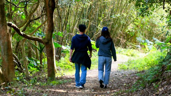 《蝶戀花。五色春深》2731661