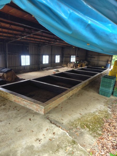 大棟山系南段 水利古道西口 上 竹高崙山 連走 鳥子嶺 坑仔內山 大崖山 下 龍目井農場2953142