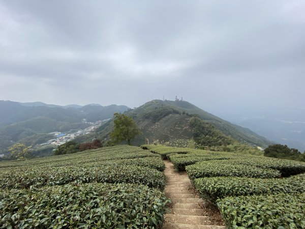 小百岳-雲嘉五連峰1415108