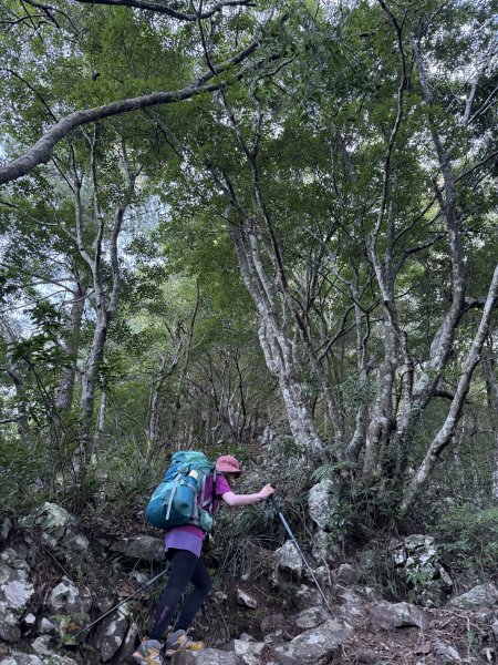 馬崙山 202509062889329