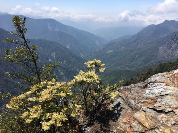 1070406玉山前峰封面