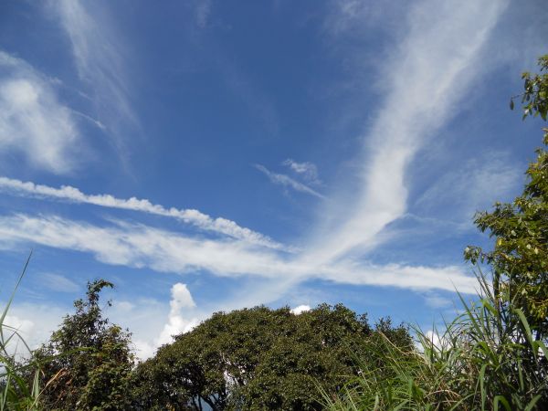 谷關七雄老二--馬崙山183415