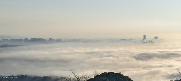 #觀音山 #雲海 #夕陽 #天空之城 #大赤鼯鼠（飛鼠） 2/132999428